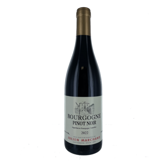 Bourgogne Pinot Noir 2022 Rouge Domaine du Peyra Domaine du Peyra FR Route de Lagardère Domaine du Peyra Domaine du Peyra Domaine du Peyra Route de Lagardère Domaine du Peyra Domaine du Peyra Domaine du Peyra Domaine du Peyra Domaine du Peyra Route de Lagardère Domaine du Peyra Route de Lagardère Route de Lagardère