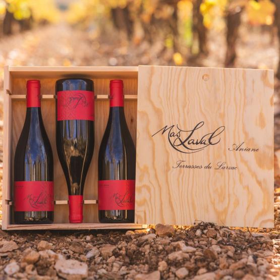 Cuvée Léna 2023 Coffret bois 3 bouteilles Domaine du Peyra Domaine du Peyra FR Route de Lagardère Domaine du Peyra Domaine du Peyra Domaine du Peyra Route de Lagardère Domaine du Peyra Domaine du Peyra Domaine du Peyra Domaine du Peyra Domaine du Peyra Route de Lagardère Domaine du Peyra Route de Lagardère Route de Lagardère